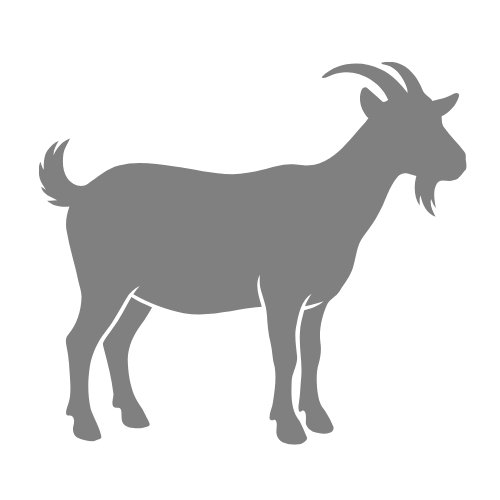 Goat